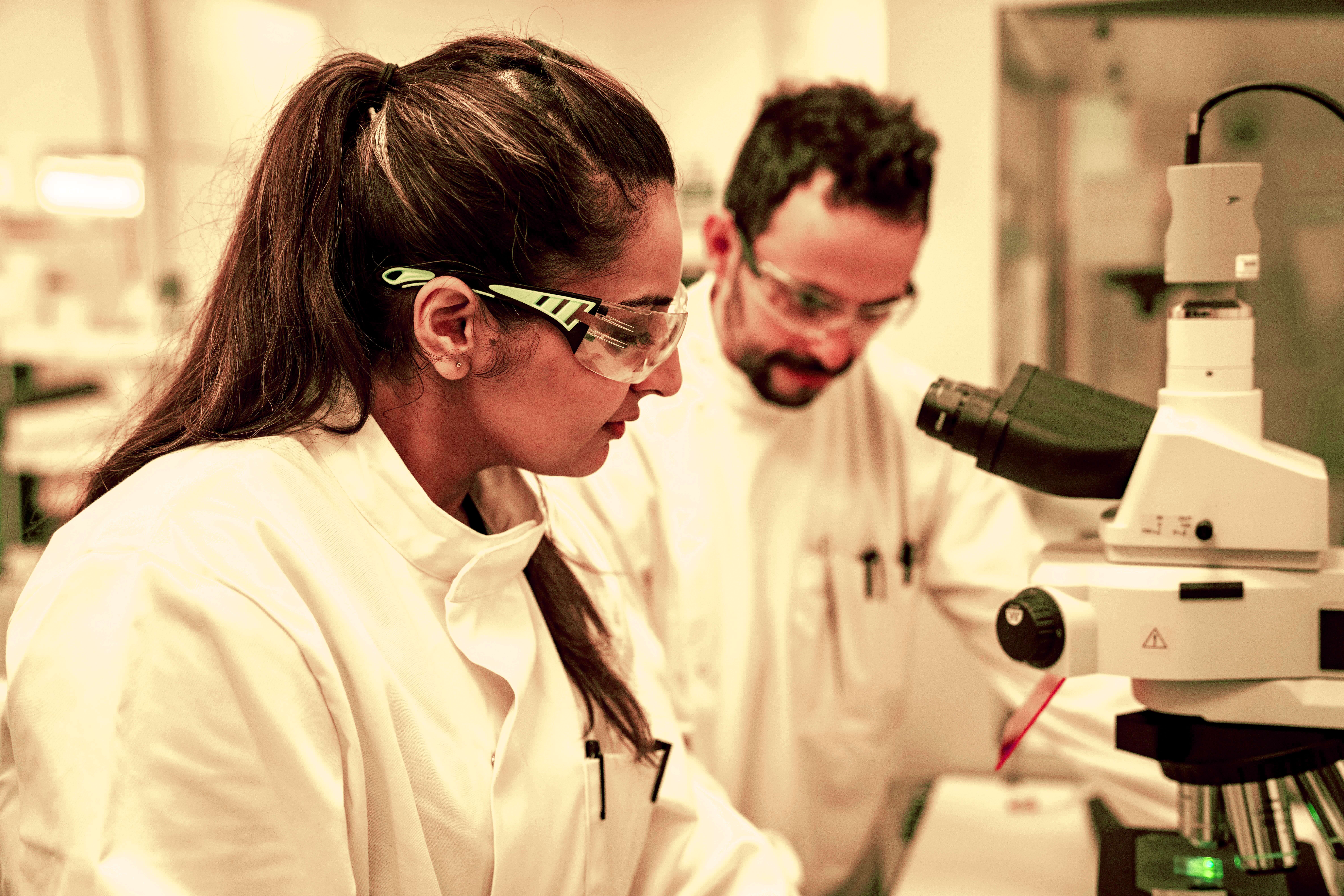 Lab work taking place at the Wood Centre for Innovation.